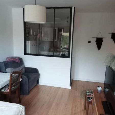 Apartament Dobre Miejsce Malbork Exteriér fotografie